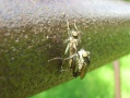 dscn1551.jpg