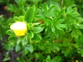 IMG_8917.jpg