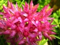 IMG_8935.jpg