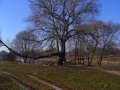 Файл=p1010236.jpg
Объём=122КБ
Размеры=700x525
Дата=Дек 22, 2006 p1010236.jpg