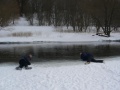 Файл=p1020959.jpg
Объём=73КБ
Размеры=700x525
Дата=Дек 22, 2006 p1020959.jpg