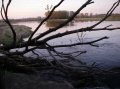 Файл=imgp0373.jpg
Объём=265КБ
Размеры=591x443
Дата=Май 07, 2007 imgp0373.jpg