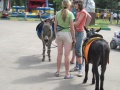 Файл=IMG_0844.jpg
Объём=680КБ
Размеры=1600x1200
Дата=Июль 01, 2010 IMG_0844.jpg