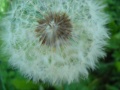 DSCN2615.jpg