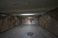 Файл=img_4013.jpg
Объём=74КБ
Размеры=800x531
Дата=Июнь 13, 2006 img_4013.jpg