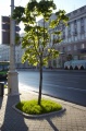 Файл=img_4017.jpg
Объём=147КБ
Размеры=531x800
Дата=Июнь 13, 2006 img_4017.jpg