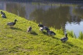Файл=img_4050.jpg
Объём=179КБ
Размеры=800x531
Дата=Июнь 13, 2006 img_4050.jpg